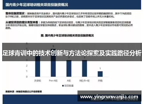 足球青训中的技术创新与方法论探索及实践路径分析