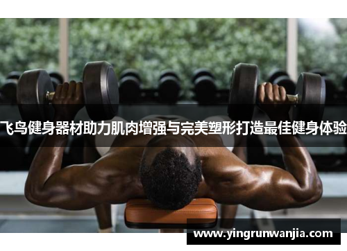 飞鸟健身器材助力肌肉增强与完美塑形打造最佳健身体验