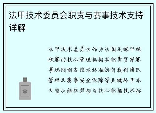 法甲技术委员会职责与赛事技术支持详解