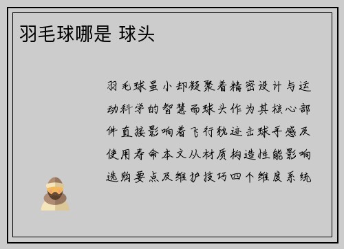 羽毛球哪是 球头